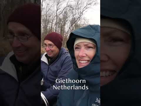 Wild Swan in the Netherlands Travel Video