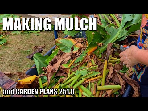Potted Ginger, Making Mulch, & Garden Plans 251.0 🤔 [Video]