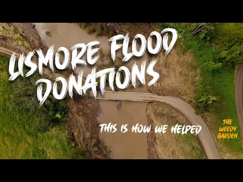 Stories of generosity and gratitude. People helping people [Video]