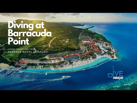 Barracuda Point near Sandals Royal Curacao | Curacao Diving Guide | Dive Travel Curacao [Video]