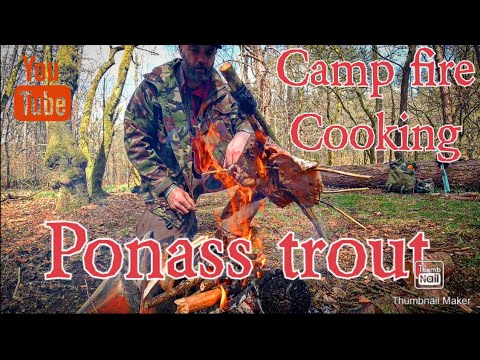 How to Ponass a fish, Bushcraft Syle [Video]