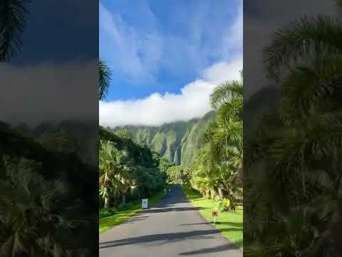 LETS VISIT HAWAII [Video]