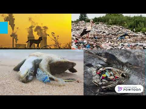 Dbajmy o środowisko – content marketing [Video]