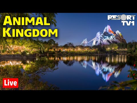 🔴Live: An Evening at Disney’s Animal Kingdom – Everest is Open – Walt Disney World Live Stream [Video]