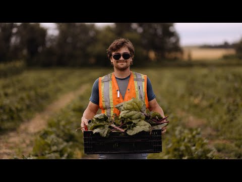 Urban Gardening Initiatives | City of Edmonton [Video]