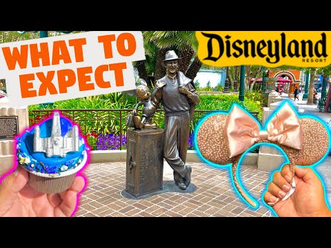 What To Expect At The Disneyland Resort | New Ears And Americana Merch | Trying New Star Wars Treats [Video]