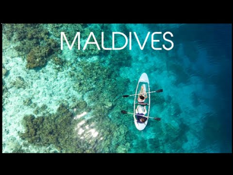 Maldives Honeymoon Destination | island [Video]