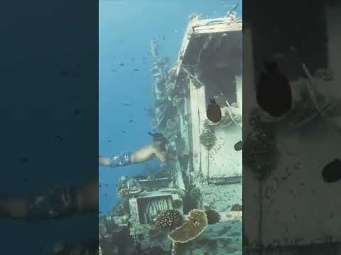 maldives under water | shipwrecks in the Maldives [Video]