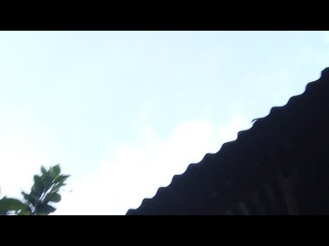 ODEZAFILES FLOWER BOUTIQUE [Video]