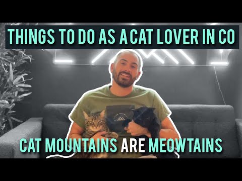 5 FUN THINGS to do in Colorado (CAT OWNERS EDITION) [Video]