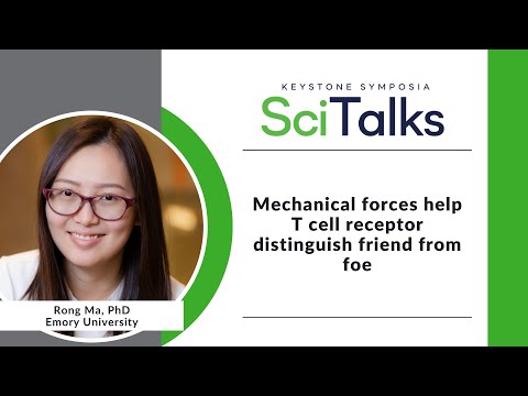 SciTalk: Mechanical forces help T cell receptor distinguish friend from foe [Video]