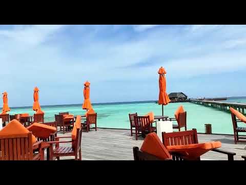 Travel Aid | Happy Clients | Maldives Tour | Best Vacation [Video]