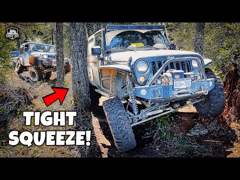 Damaging Our Jeeps For A Good Cause… [Video]