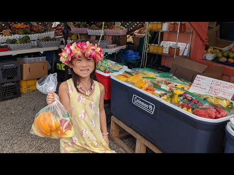 Top 10 Traditional Local Hawaiian Food & Desserts to try (Travel Vlog Oahu) [Video]