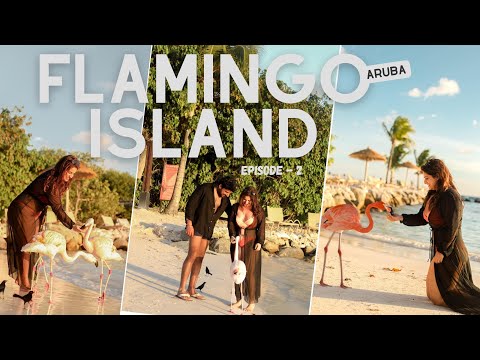 Flamingo Island – Aruba Vlog: Epi 2 | Renaissance Private Island | Travel Guide | Isha and Deepak [Video]