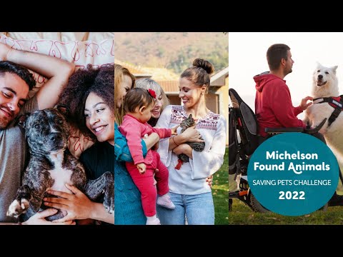 Register Now for the 2022 Saving Pets Challenge! [Video]