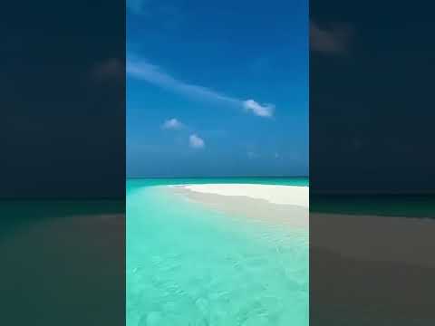 Life in the Maldives 🇲🇻 #shorts #nature #travel [Video]