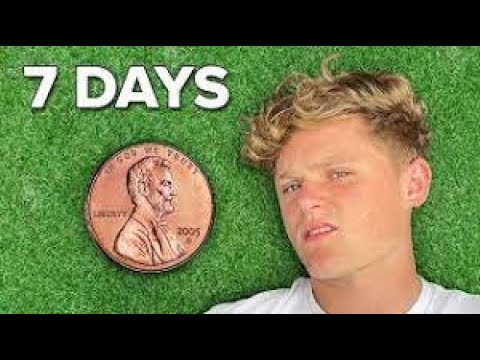 I Survived On $0.01 For 30 Days [Video]