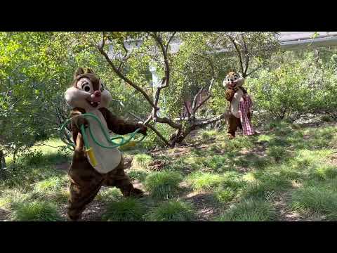 Dale exercising and practicing martial arts // Disney California Adventure [Video]