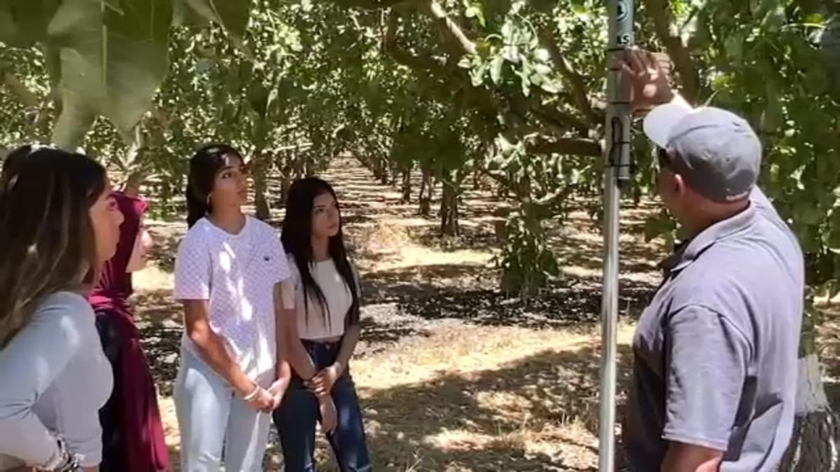 Central Valley teens provide sensors to farms that monitor weather, soil to maximize water use [Video]