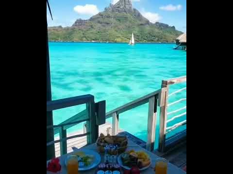How amazing is this breakfastMALDIVES TRAVEL VLOG 2022…#shorts [Video]