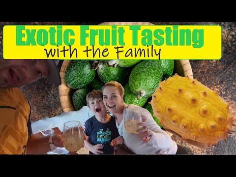 Exotic Fruit Tasting with the Family | The Royalty Family Travel [Video]