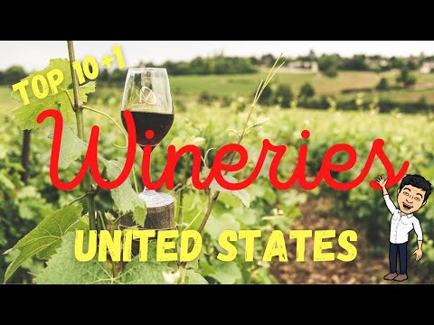Are These The BEST Wineries? / Travel Tips [Video]