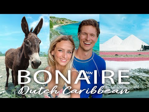 BONAIRE TRAVEL GUIDE – 30 BEST THINGS TO DO & SEE! (travel tips, cost, food, & more! [Video]
