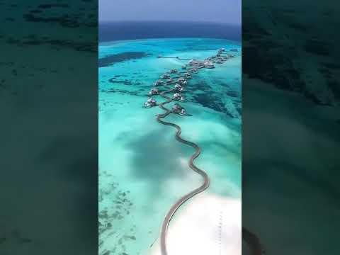 Maldives  #shorts #vacation #maldives [Video]