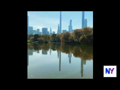 Central Park [Video]