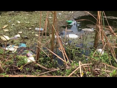 Grant could prevent tons of trash from entering water [Video]