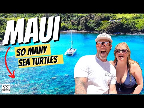 FIRST TIME in MAUI, Hawaii!!  AMAZING Snorkeling with So Many SEA TURTLES!! (NCL Pride of America) [Video]