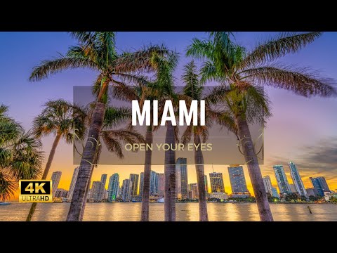 TOP Things to do in MIAMI [Video]