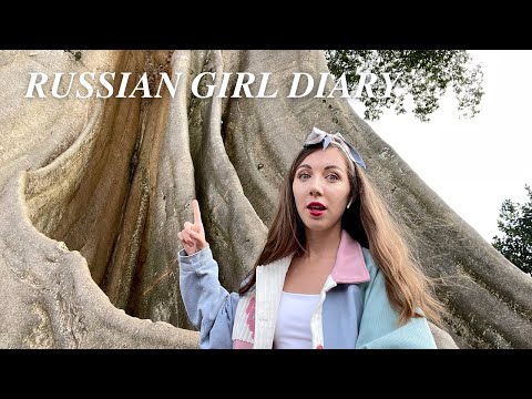Visiting Bayan Ancient Tree BALI  Solo travel Indonesia Vlog [Video]