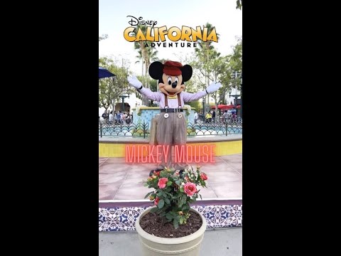 Mickey Mouse at Disney California Adventure park [Video]