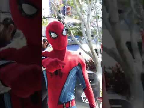 Spider Man Spotted Mjolnir! | Disney California Adventure #shorts [Video]