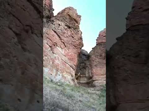 Clarno Unit | John Day Fossil Beds National Monument Highlights | Maybee Discovery #shorts [Video]