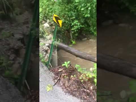 It’s Raining Buckets on the homestead!! Talk a walk with me to the creek. [Video]