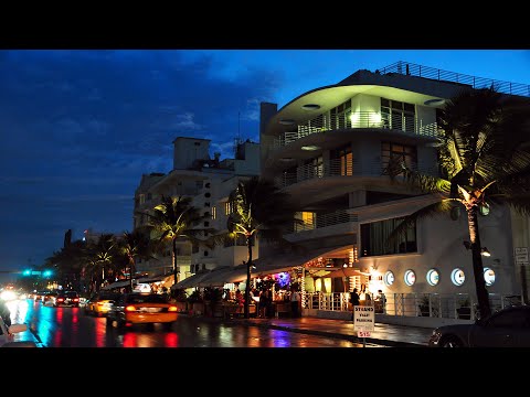 10 Best Things to Do in Miami Florida #shorts [Video]
