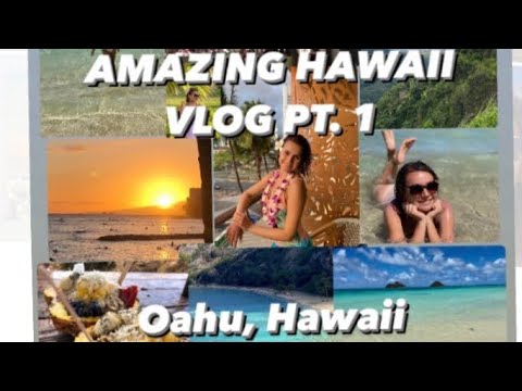 WE TOOK AN AMAZING TRIP TO HAWAII~PART 1 (OAHU)~TRAVEL VLOG  [Video]