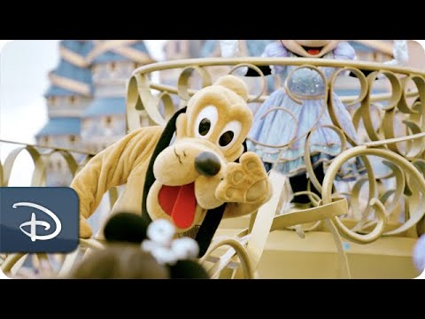 We’re Talking 50th Anniversary at Walt Disney World Resort [Video]