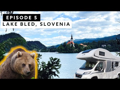 Wild Bears in Croatia & Lake Bled | Van Life Family Travel EUROPE TOUR [Video]