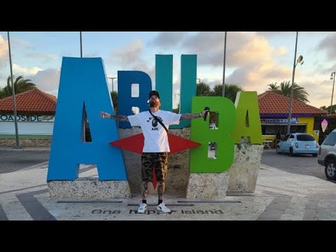 Travel Vlog #3  1st day thoughts of Aruba? Pool Time with Iguana’s and Dinner with a view! [Video]