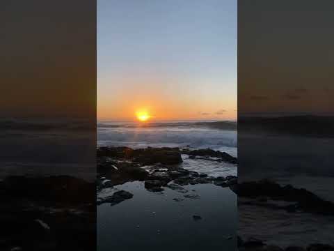 Happy Tuesday from a Hawaii vacation, travel to Hawaii [Video]