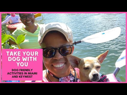 Things to Do in Miami and Key West with Your Dog [Video]