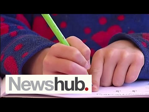 Hundreds of schools to lose funding as education system moves to new equity index | Newshub [Video]