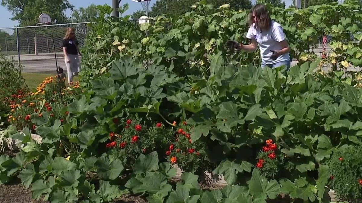 Montana Farmers Union funds grants to youth agriculture programs [Video]