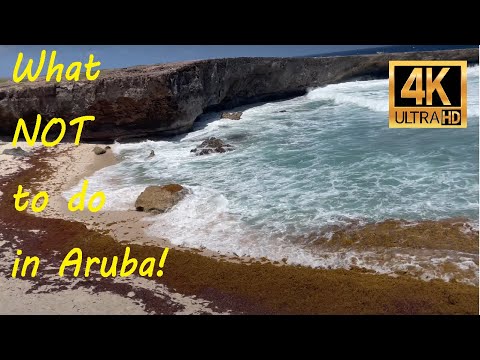 What NOT to do while solo traveling in Aruba! [Video]