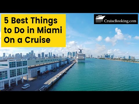 5 Best Things to Do in Miami On a Cruise [Video]