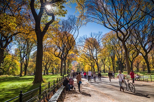 9 things to do in NYC this weekend (Sept. 29 [Video]